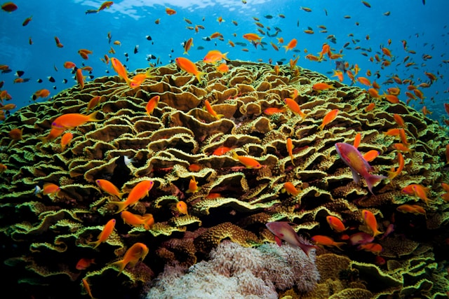 Єгипет